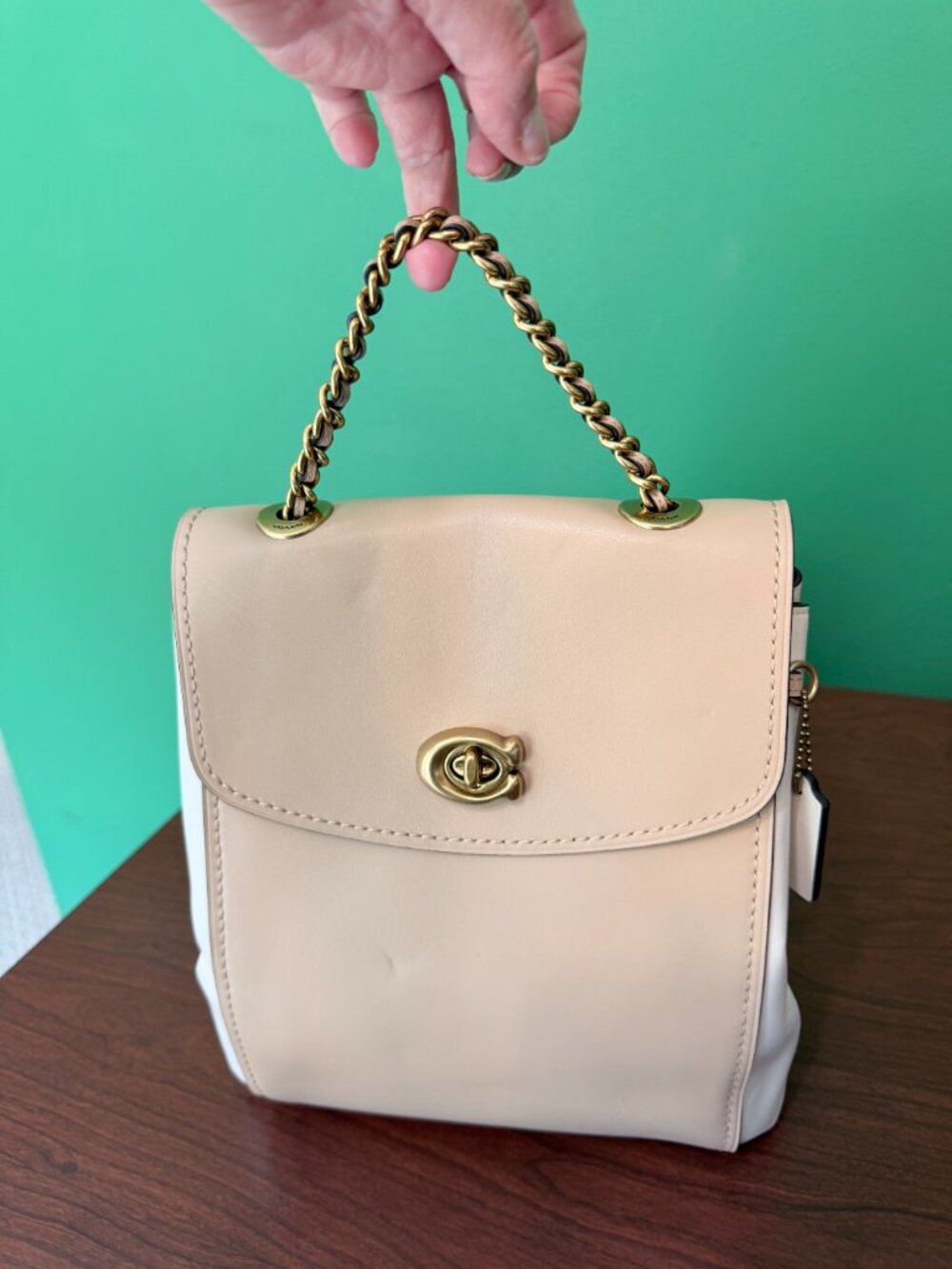 Coach Parker Colorblock Leather Backpack Style 67324 Chalk/Ivory Brass Authentic
